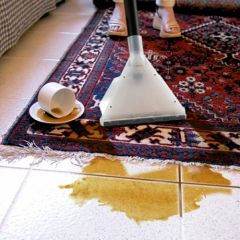 Lavor Taurus IF 03 Üç Motorlu Islak Kuru Süpürme Makinası