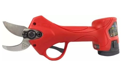 Eng Energy WS 025 Akülü Budama Makası 2.5cm