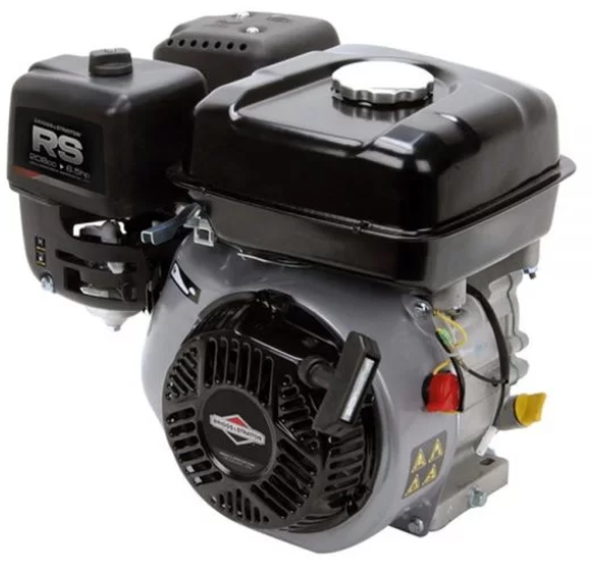 Briggs & Stratton Benzinli Motor Rs950