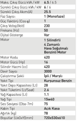 Full FGL 8000LE Benzinli Jeneratör