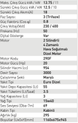 Full FDL 13500SC3 380V Dizel Kabinli Jeneratör