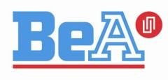 Bea 802 DC Başlı Sargı Çivi Makinası