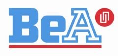 Bea 802 DC Başlı Sargı Çivi Makinası