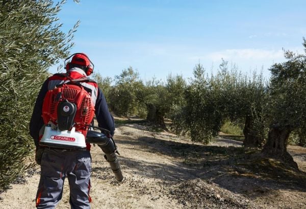 Cifarelli BL2200 5 Hp Yaprak Üfleme Makinesi